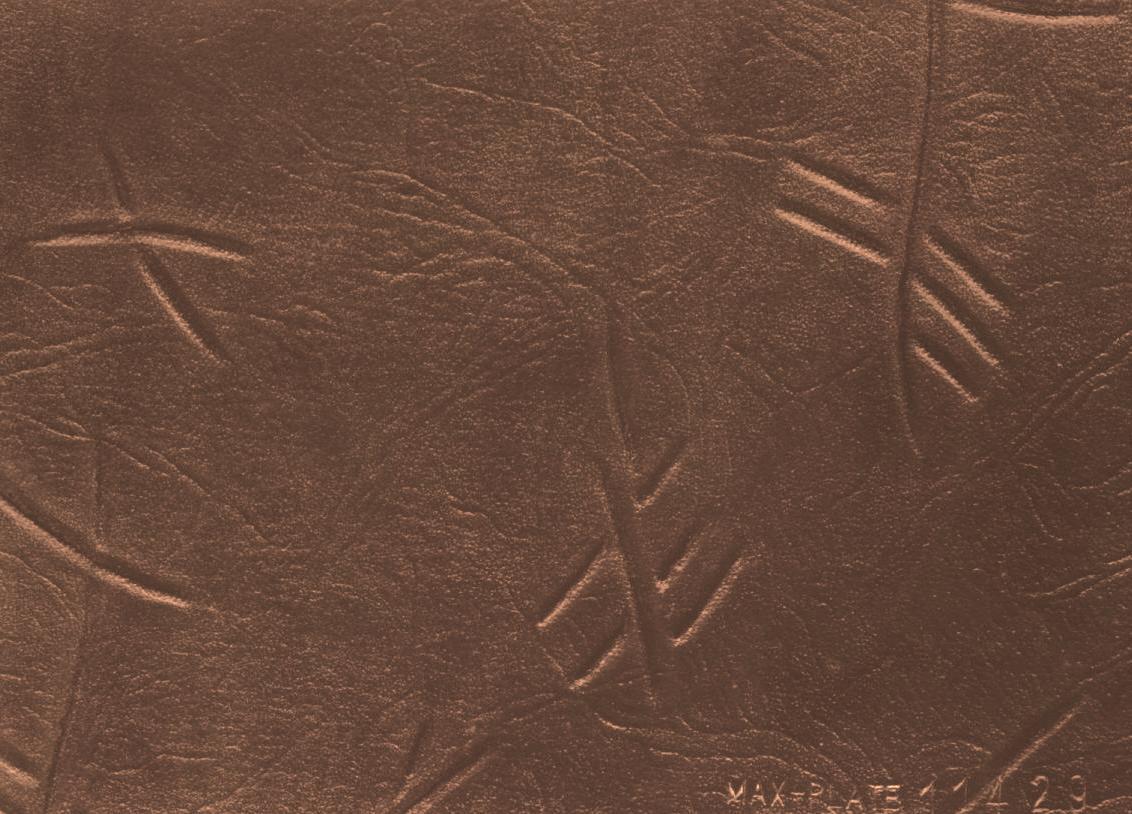 Assumenda accus antium